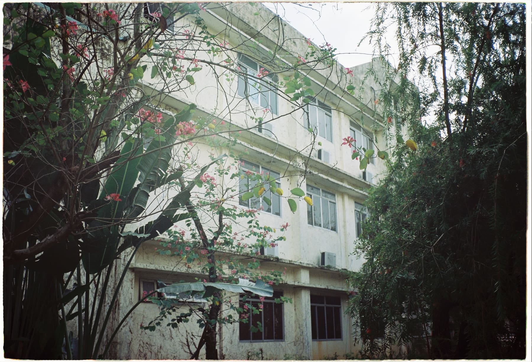 Một góc dãy nhà cũ của trường